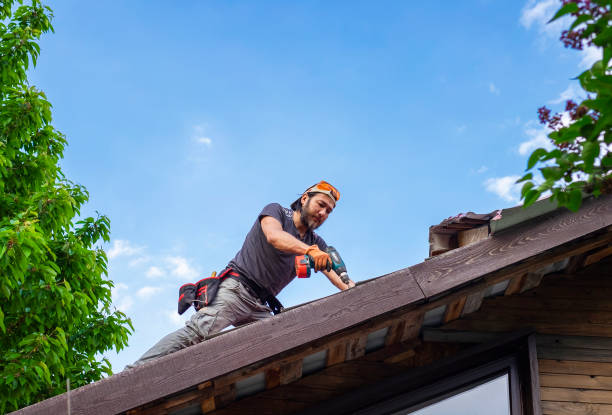 Best Roof Coating and Sealing  in Allegan, MI
